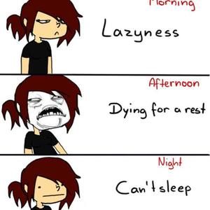 Meet your Posher, Wyatt